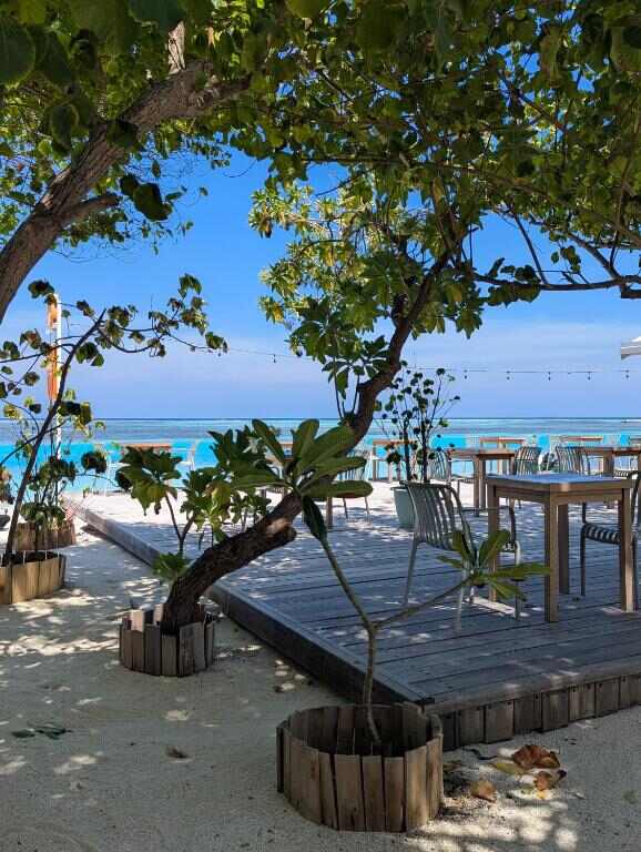 Beachfront terrace with tables near the lagoon on Dhiffushi